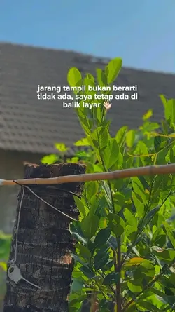 dibalik layar