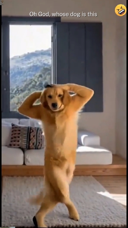 Text bearbeiten