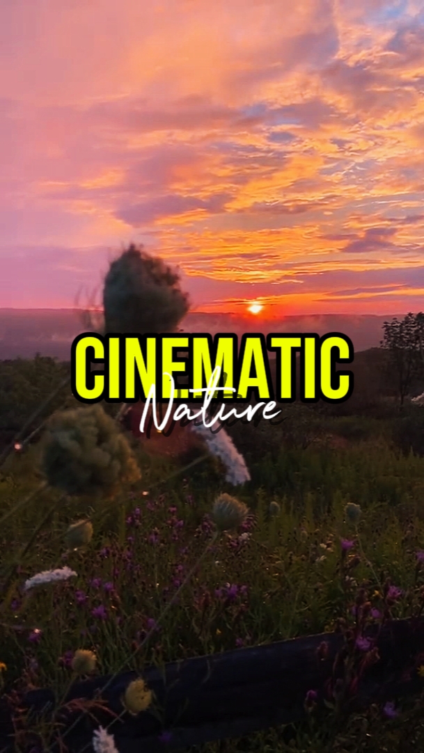 NATURE CINEMATIC