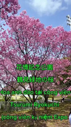 鶴見緑地公園 🌸