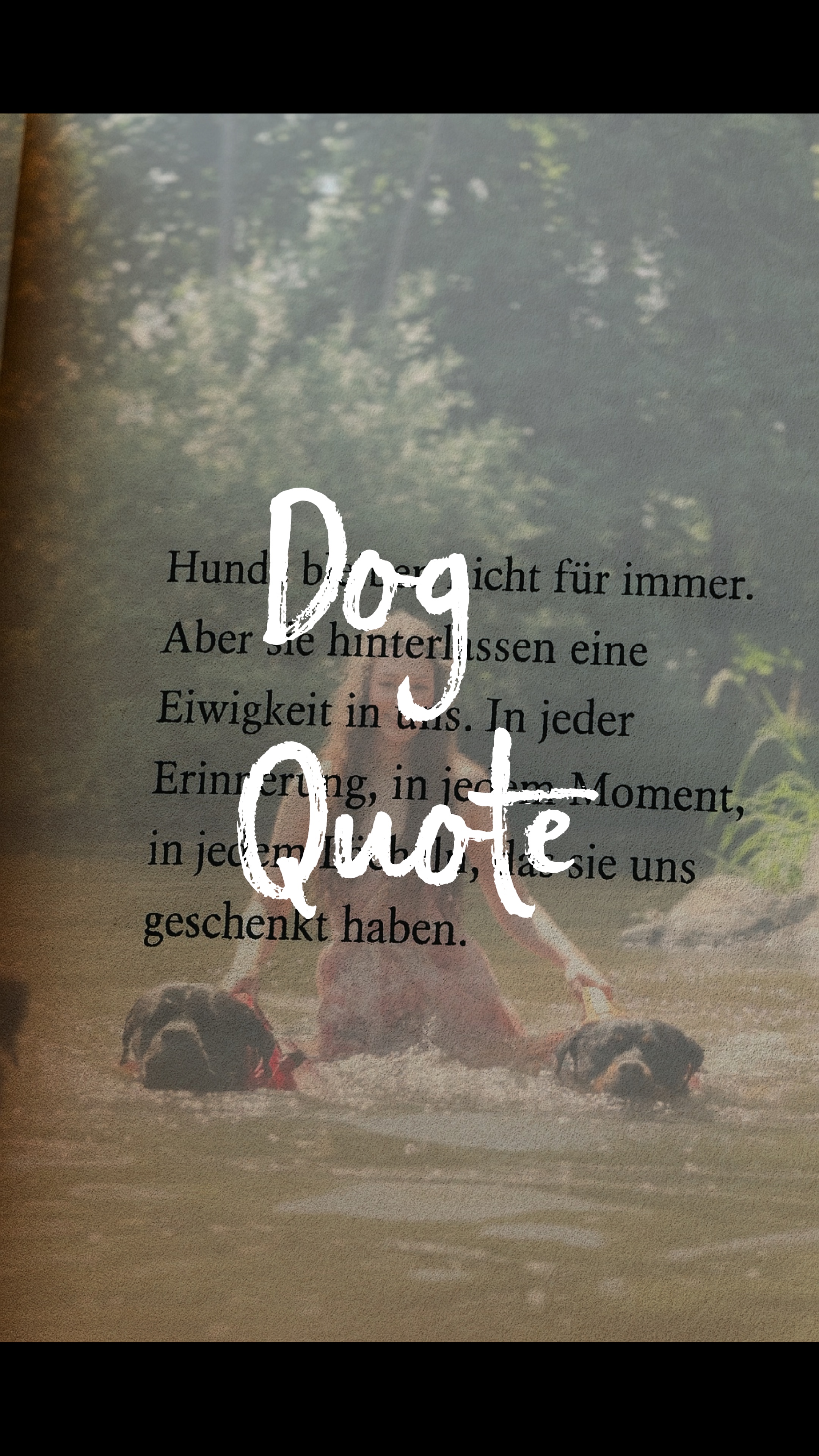 Dog Quote