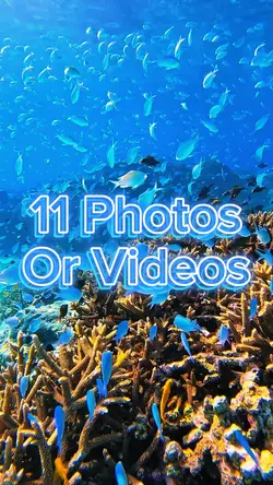 11 Video Slides
