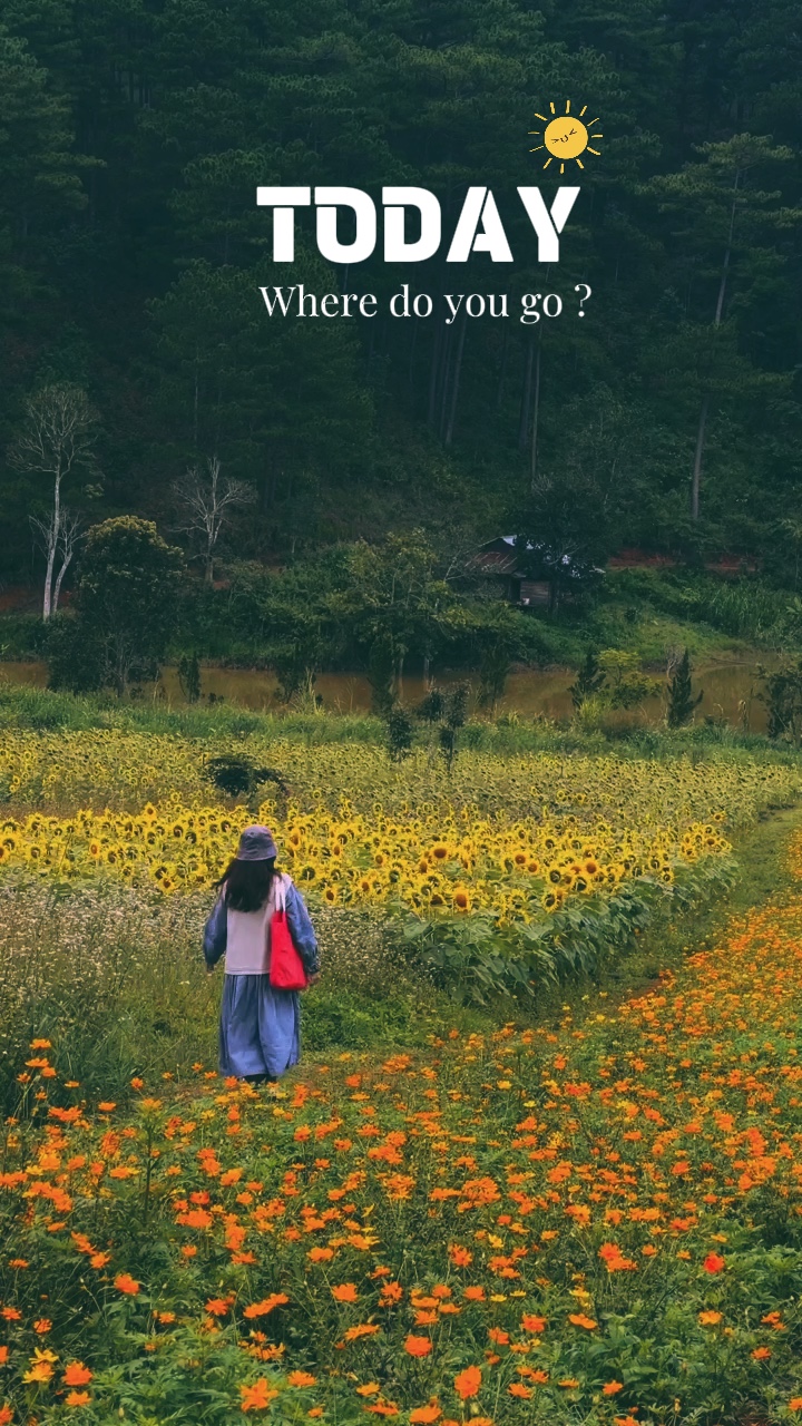 Caption Ngày Mới 