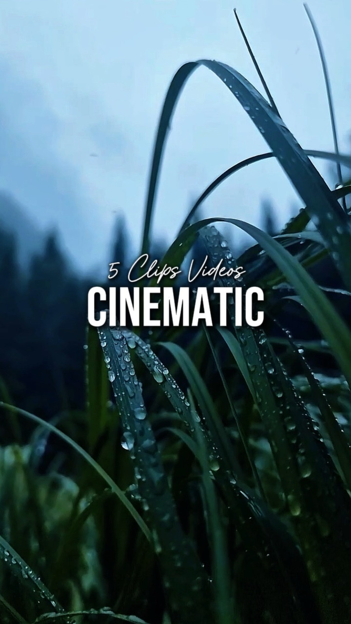 5 Videos Cinematic 