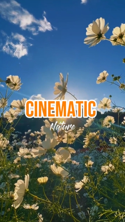 CINEMATIC Nature 