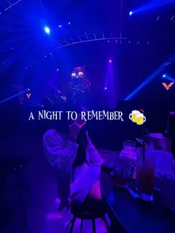 Party Nights 