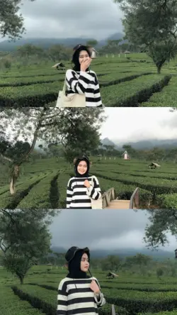 Tata Letak 3 