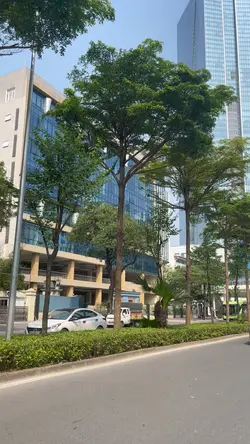 Hoàng hôn nhớ