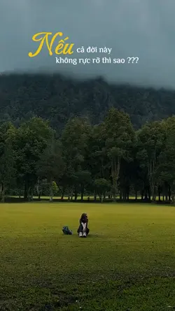 Nếu cả đời này...