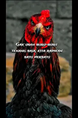 CHIKEN | AYAM