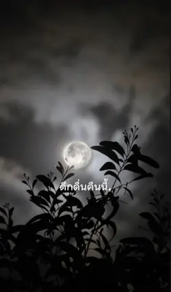 ลมหนาวและดาวเดื่อน