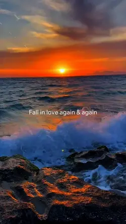 Fall in love again