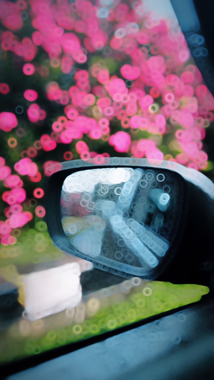 Slowmotion video 🌸✨