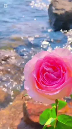 para ti 