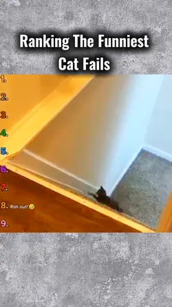 Funniest Cat Fails
