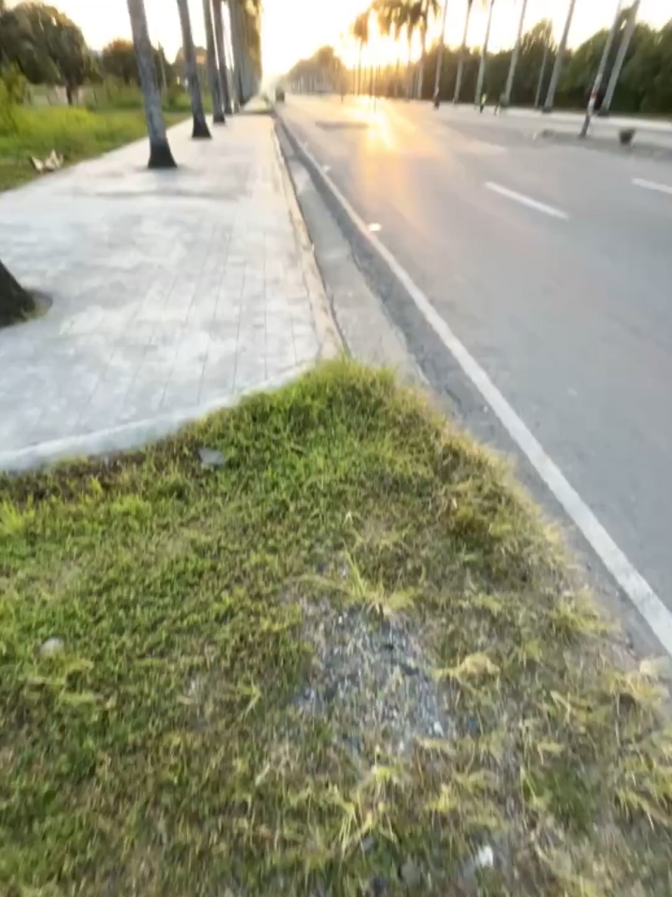 Foto langsung 