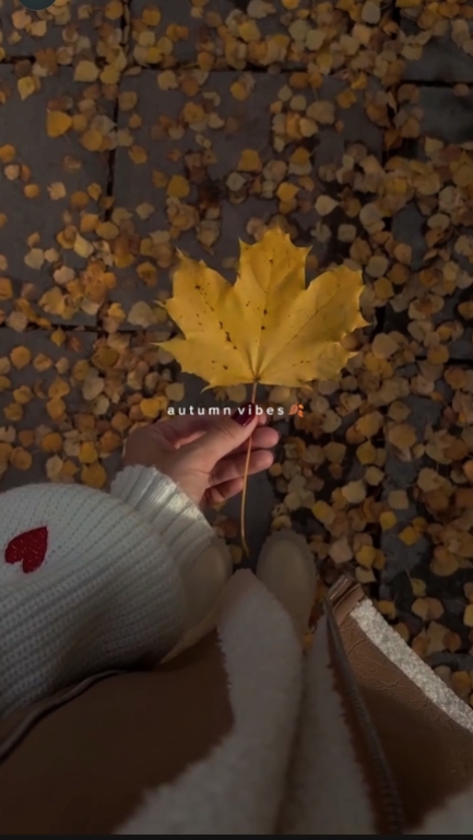 about autumn