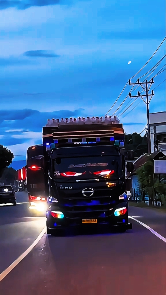 Truk estético da história