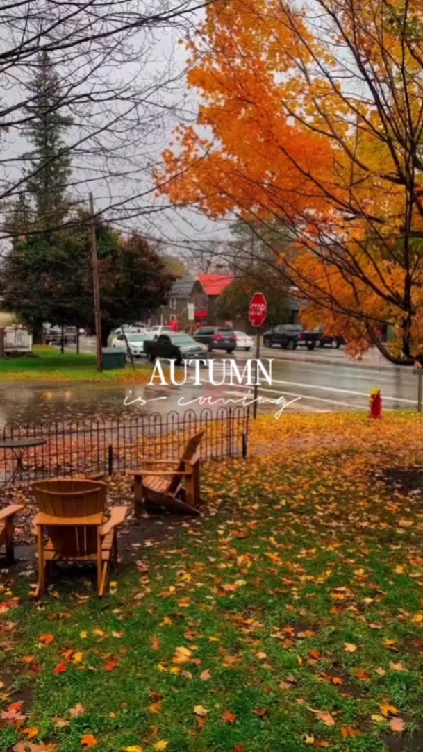 Autumn is coming