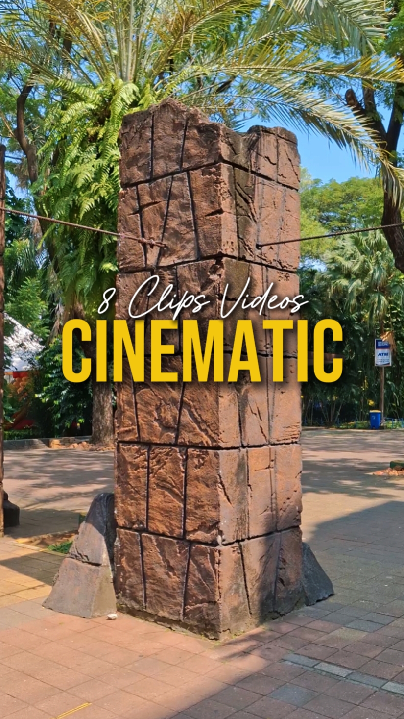 8 VIDEO KINEMATIK