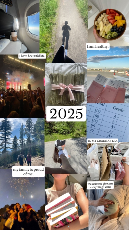 vizyon panosu 2025