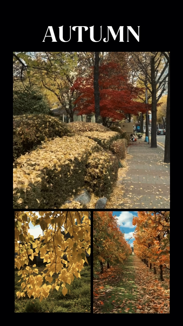 Autumn Dump