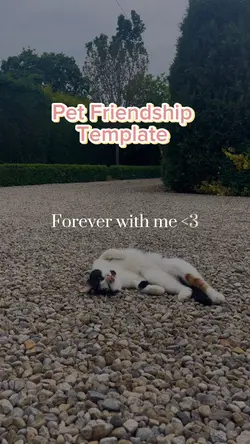 Pet Template 