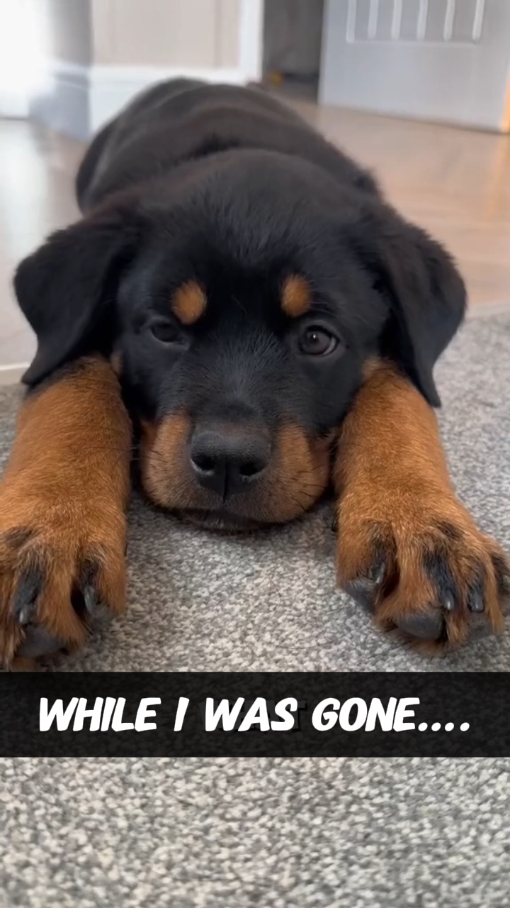 While I Was Gone……