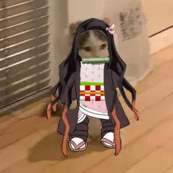 Edit sorpresa