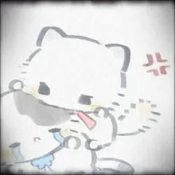 貓貓
