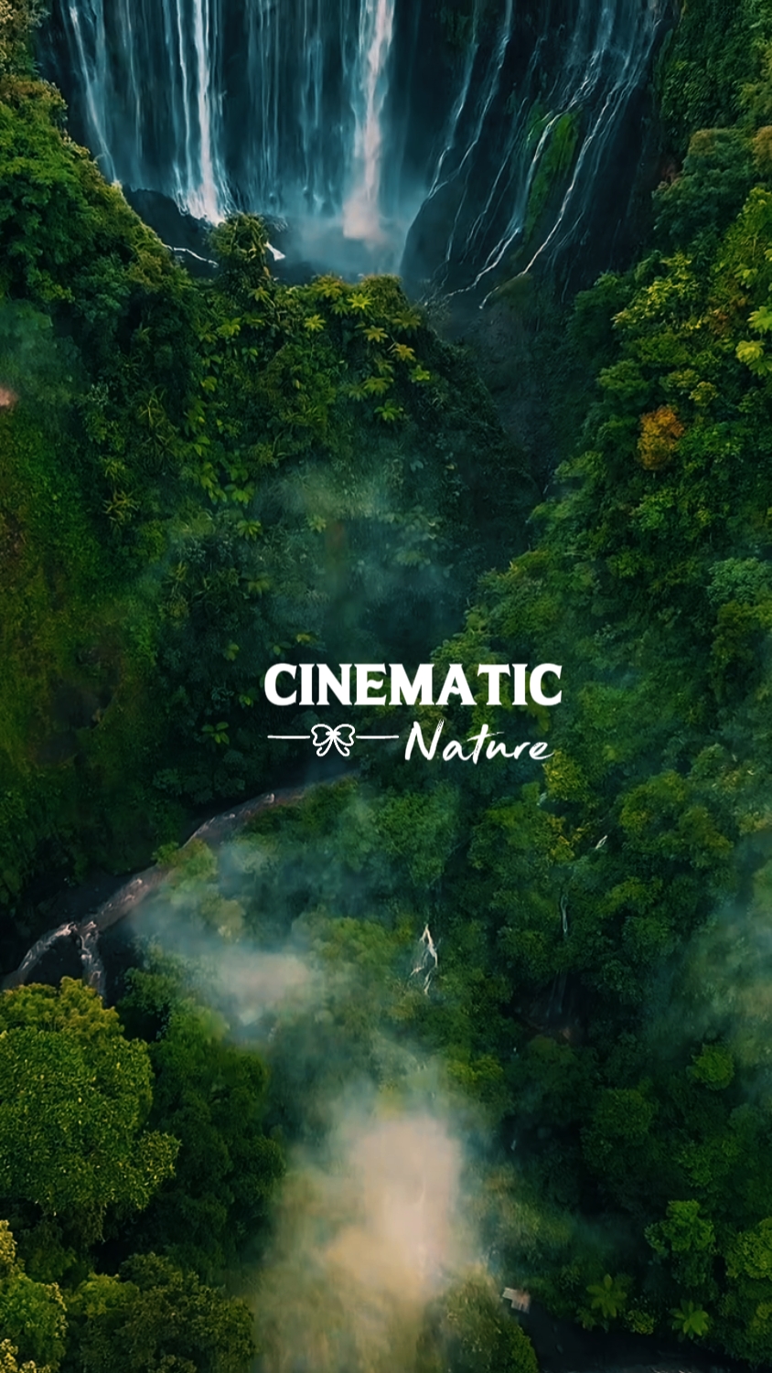 Cinematic nature