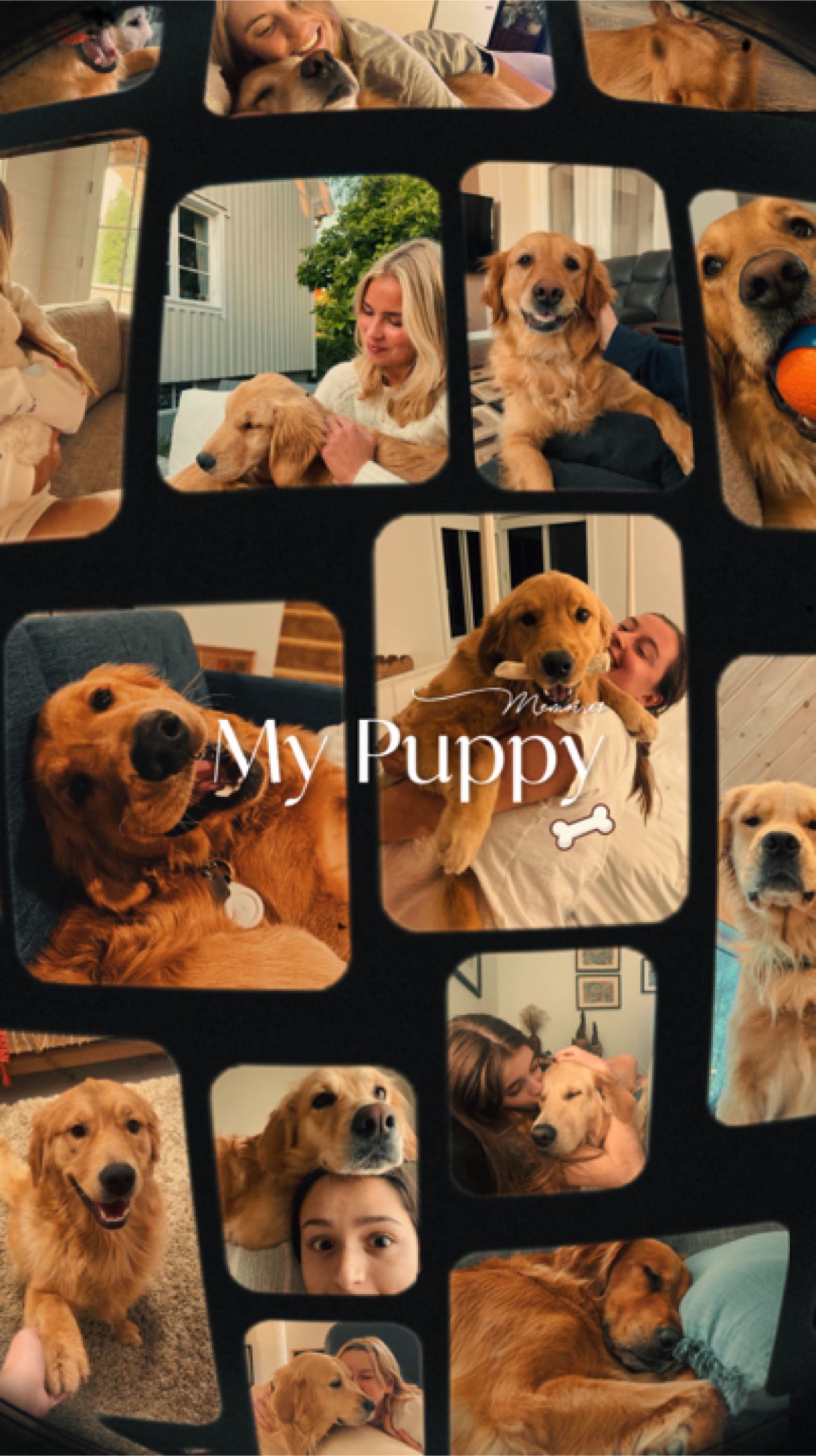 Mi perrito
