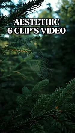 6 Video Aesthetic
