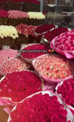 Happy Valentine’sday