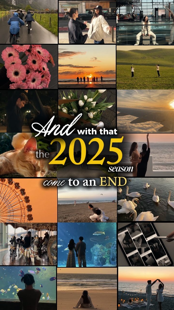 2025 Zusammenfassung 
