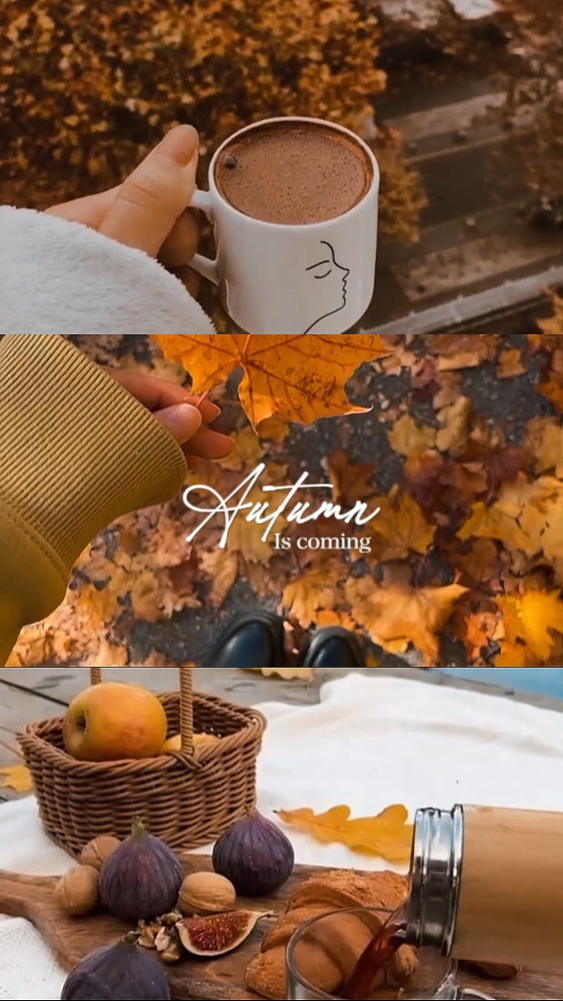 Atutum