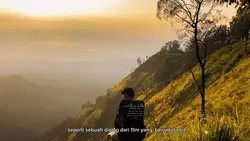 Aesthetic 