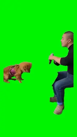 Signing dog