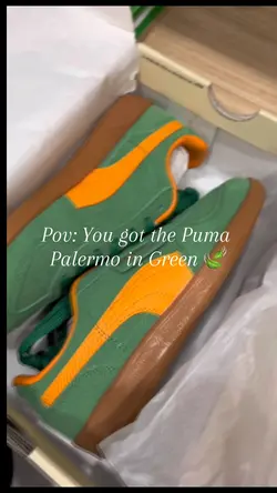 Puma palermo edit