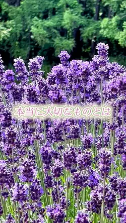 message～メッセージ～