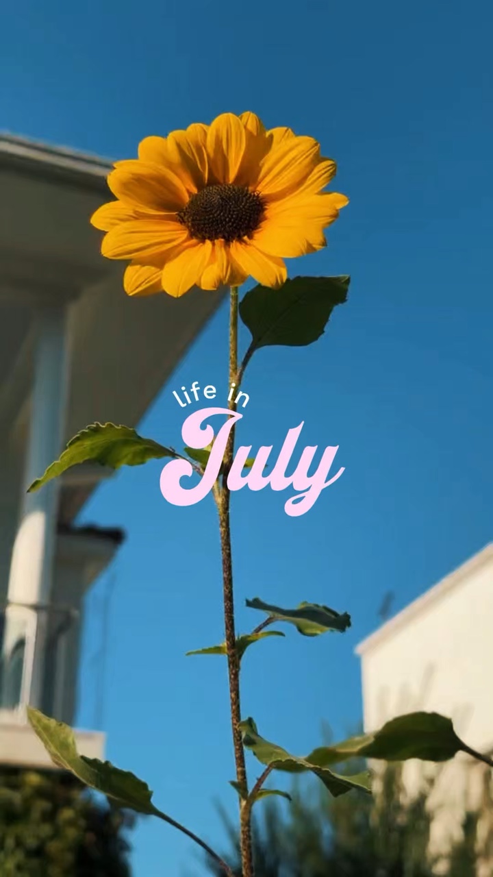 Life in july