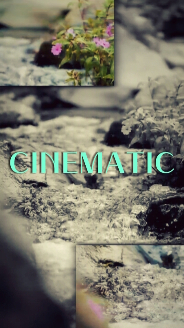 5 VIDEOS CINEMATIC