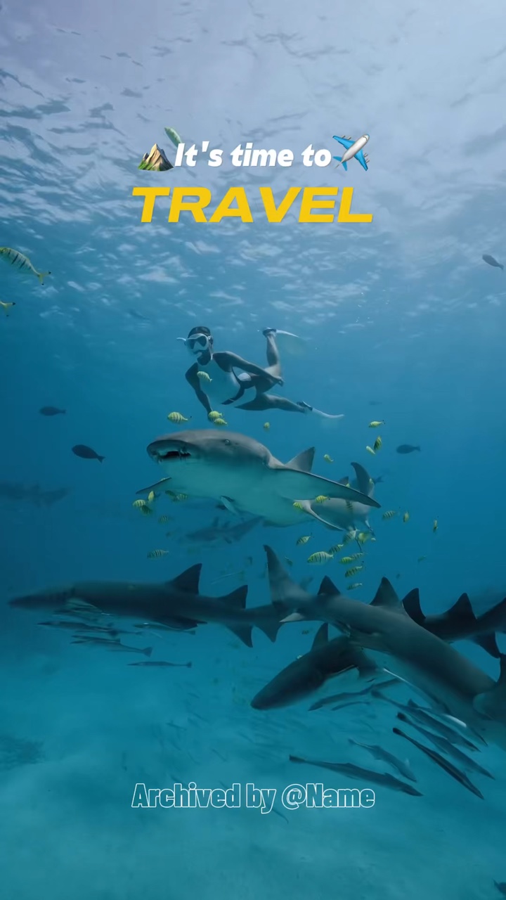 Travel trip