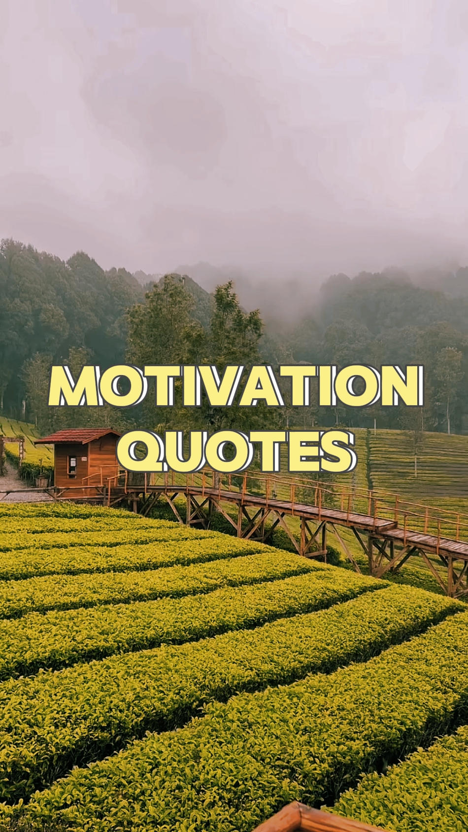 Citações de motivação 
