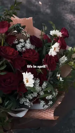 life in april