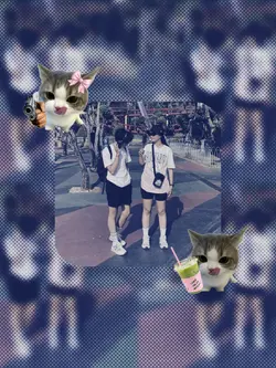 sticker cat