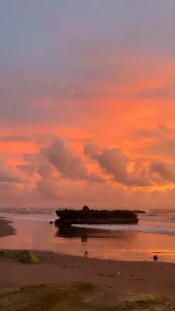 teks bisa di ganti