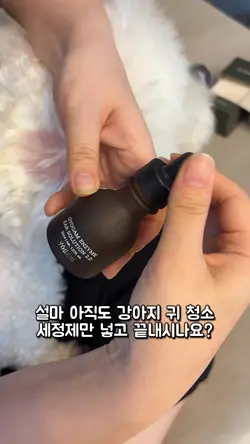 강아지릴스