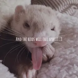 Silly lil dude