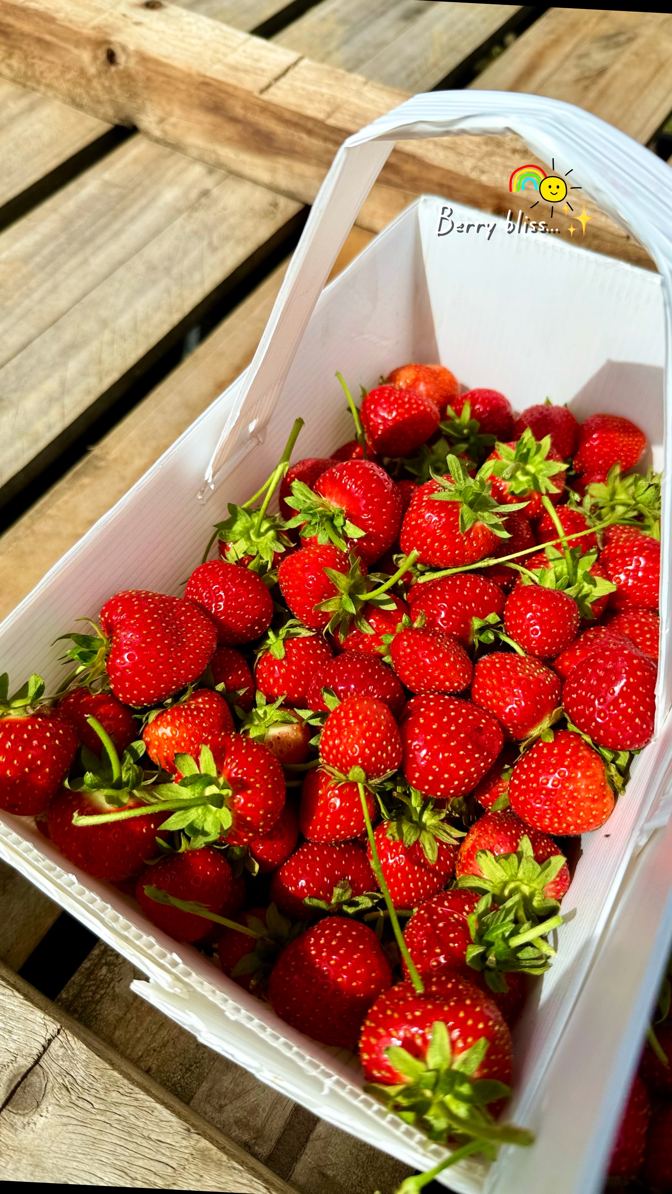 Strawberry picking.❤️